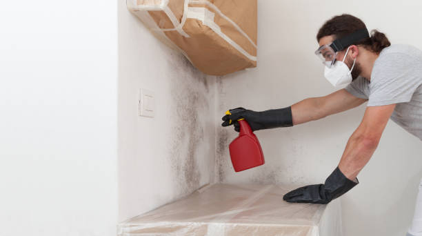Professional Bathroom Mold Removal technician working in Snow Shoe, PA